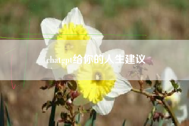 chatgpt给你的人生建议