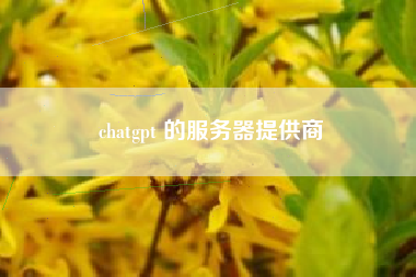 chatgpt 的服务器提供商