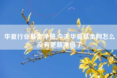 华夏行业基金净值,今天华夏基金网怎么没有更新净值了