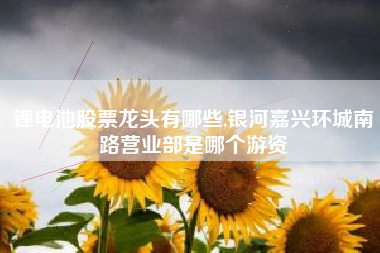 锂电池股票龙头有哪些,银河嘉兴环城南路营业部是哪个游资