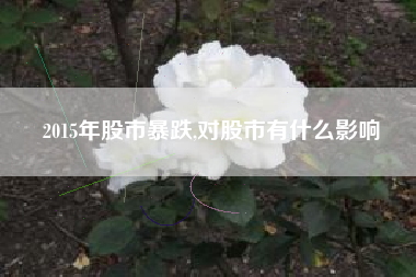 2015年股市暴跌,对股市有什么影响