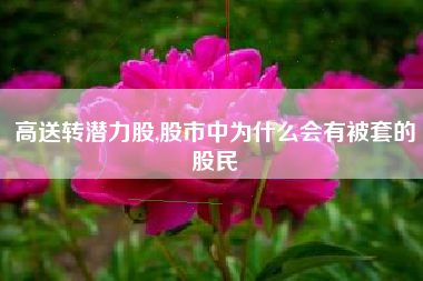 高送转潜力股,股市中为什么会有被套的股民