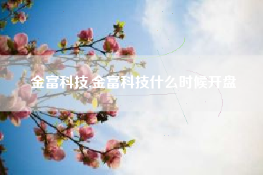金富科技,金富科技什么时候开盘