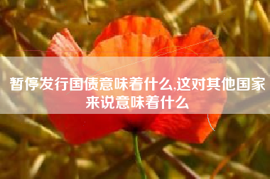 暂停发行国债意味着什么,这对其他国家来说意味着什么