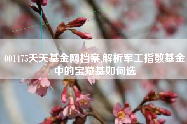 001475天天基金网档案,解析军工指数基金中的宝藏基如何选