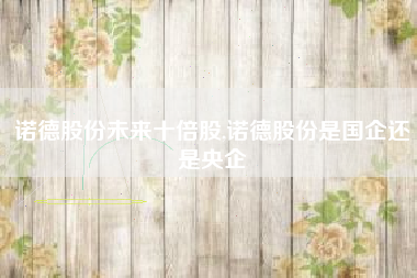 诺德股份未来十倍股,诺德股份是国企还是央企