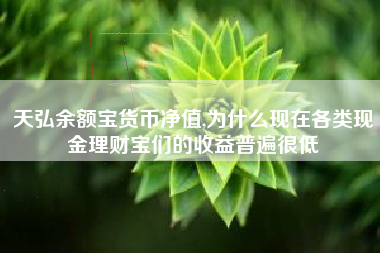 天弘余额宝货币净值,为什么现在各类现金理财宝们的收益普遍很低