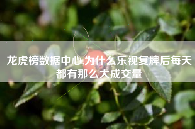 龙虎榜数据中心,为什么乐视复牌后每天都有那么大成交量