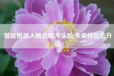 智能机器人概念股龙头股,未来什么会升值