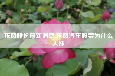 东风股份最新消息,东风汽车股票为什么大涨