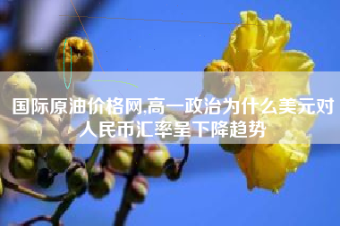 国际原油价格网,高一政治为什么美元对人民币汇率呈下降趋势