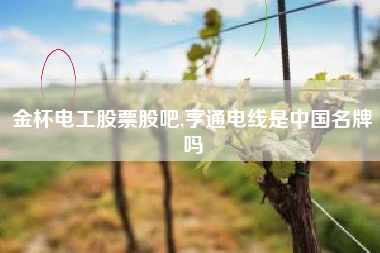 金杯电工股票股吧,亨通电线是中国名牌吗