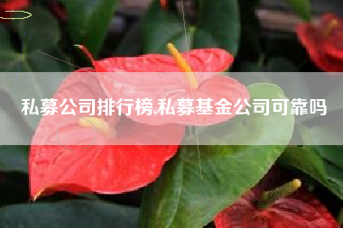 私募公司排行榜,私募基金公司可靠吗