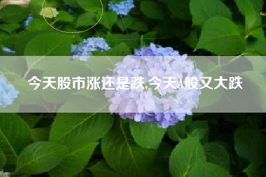 今天股市涨还是跌,今天A股又大跌