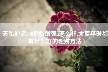 天弘沪深300指数增强a怎么样,大家平时都有什么好的理财方法