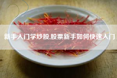 新手入门学炒股,股票新手如何快速入门