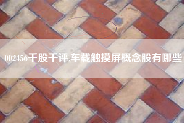 002456千股千评,车载触摸屏概念股有哪些