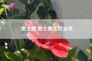 奥士康,奥士康主营业务