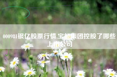 000981银亿股票行情,宝能集团控股了哪些上市公司