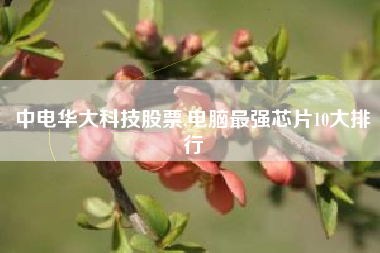 中电华大科技股票,电脑最强芯片10大排行