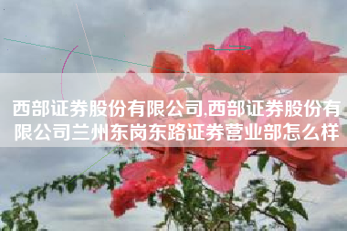 西部证券股份有限公司,西部证券股份有限公司兰州东岗东路证券营业部怎么样