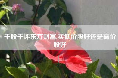 千股千评东方财富,买低价股好还是高价股好