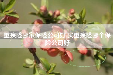 重疾险哪家保险公司好,买重疾险哪个保险公司好