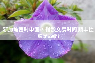 新加坡富时中国a50指数交易时间,顺丰控股是a50吗