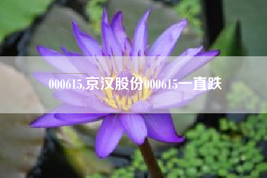 000615,京汉股份000615一直跌