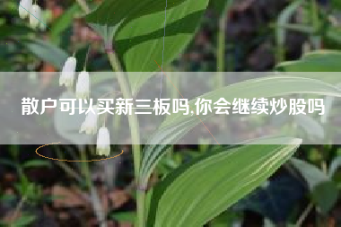 散户可以买新三板吗,你会继续炒股吗