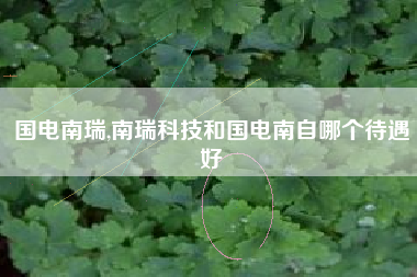 国电南瑞,南瑞科技和国电南自哪个待遇好