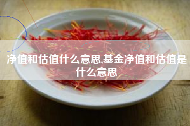 净值和估值什么意思,基金净值和估值是什么意思