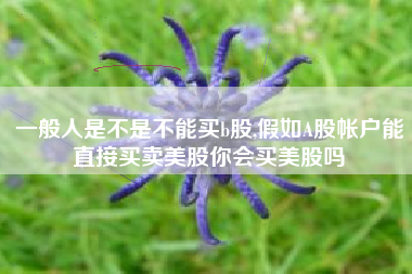 一般人是不是不能买b股,假如A股帐户能直接买卖美股你会买美股吗
