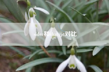sider和chatgpt对比