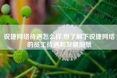 锐捷网络待遇怎么样,想了解下锐捷网络的员工待遇和发展前景