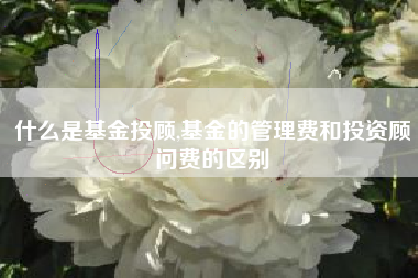 什么是基金投顾,基金的管理费和投资顾问费的区别
