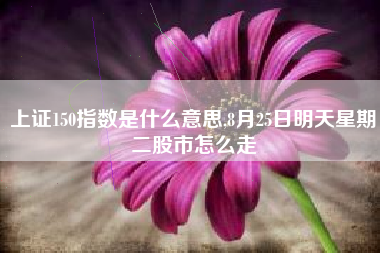 上证150指数是什么意思,8月25日明天星期二股市怎么走