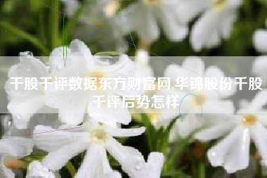 千股千评数据东方财富网,华锦股份千股千评后势怎样