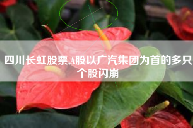 四川长虹股票,A股以广汽集团为首的多只个股闪崩