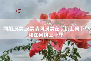 网络股票,股票请问股票在手机上网下单和在网络上下单