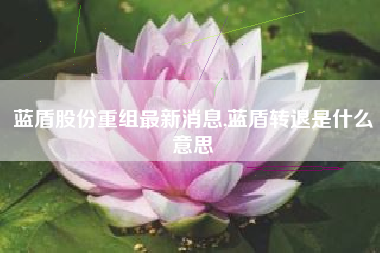 蓝盾股份重组最新消息,蓝盾转退是什么意思