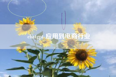 chatgpt 应用到电商行业