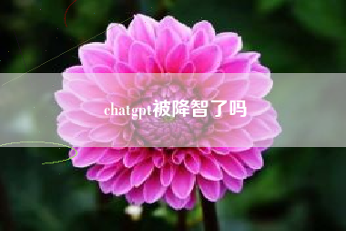 chatgpt被降智了吗