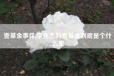 壹基金事件,李连杰的壹基金到底是个什么鬼