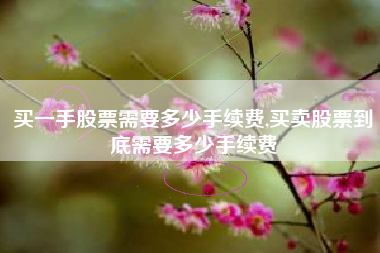 买一手股票需要多少手续费,买卖股票到底需要多少手续费