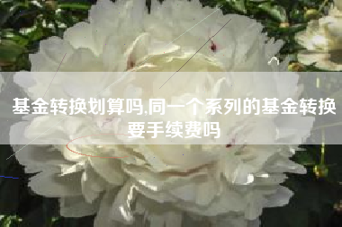 基金转换划算吗,同一个系列的基金转换要手续费吗