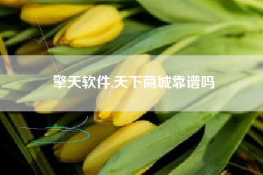 擎天软件,天下商城靠谱吗