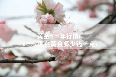 黄金2022年行情(
2022916现在黄金多少钱一克) 黄金2022年行情(
2022916现在黄金多少钱一克)