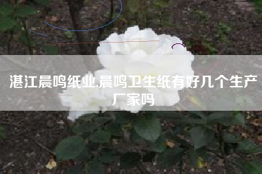 湛江晨鸣纸业,晨鸣卫生纸有好几个生产厂家吗