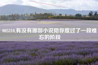 005310,有没有哪部小说陪你度过了一段难忘的阶段